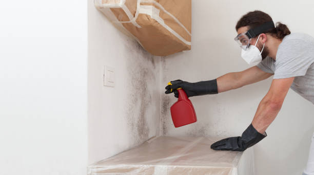 Professional Commercial Mold Remediation technician working in Springs, NY